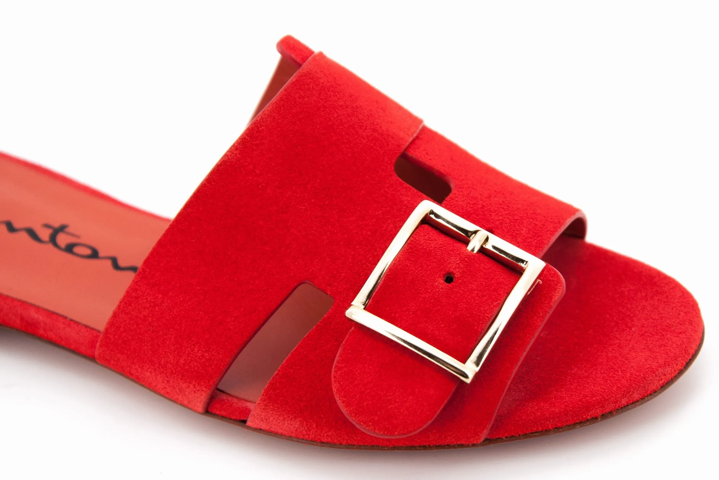 BRIGITTE 57658 LCP