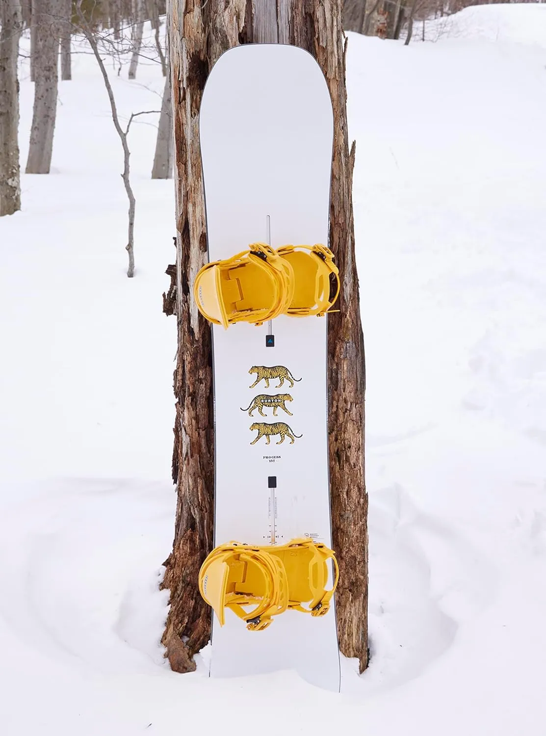 Burton Men's Process Snowboard