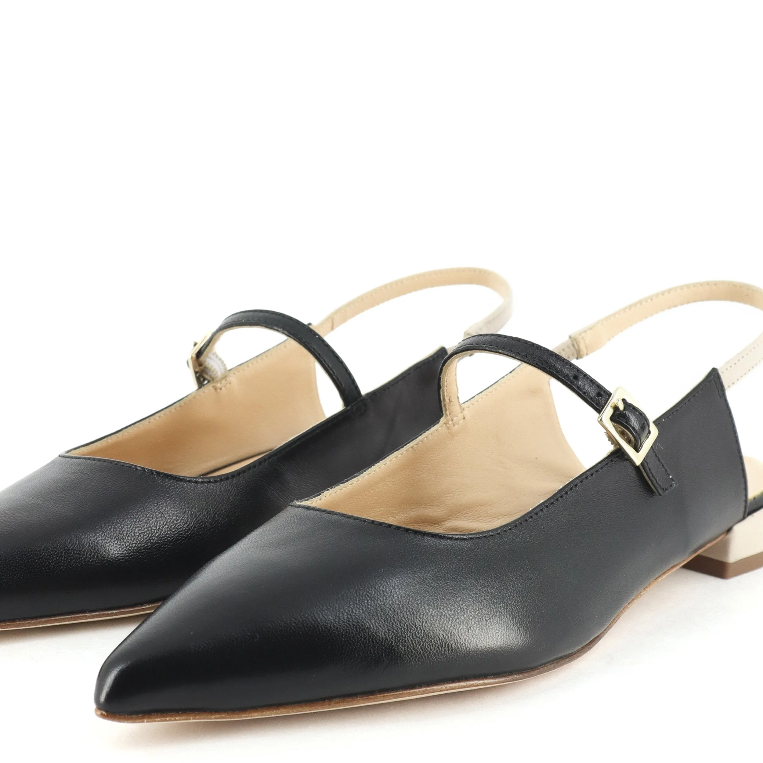 Viola Black